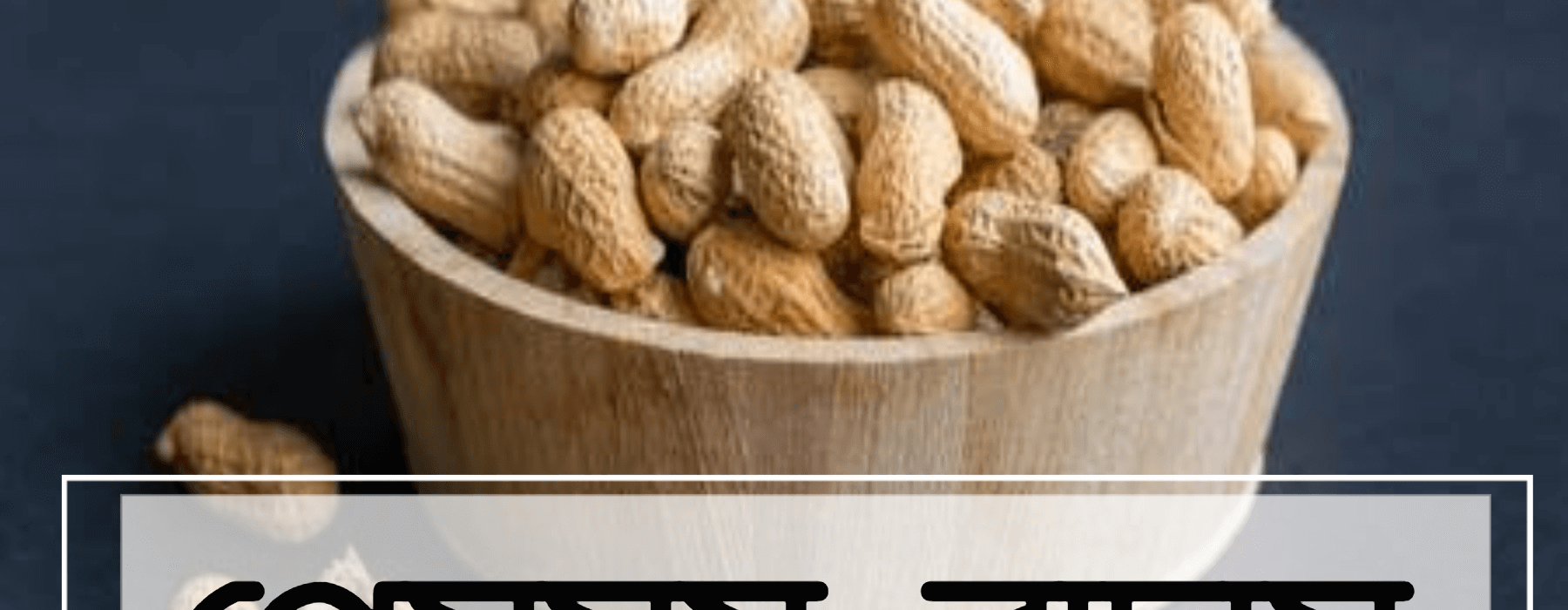 blog header image