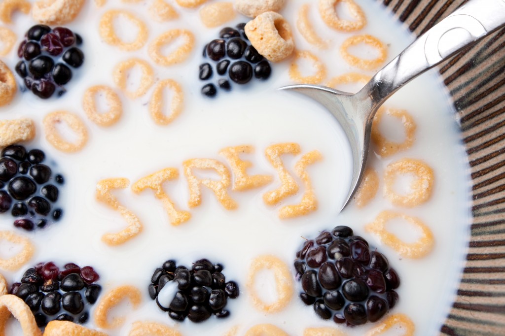 blog header image